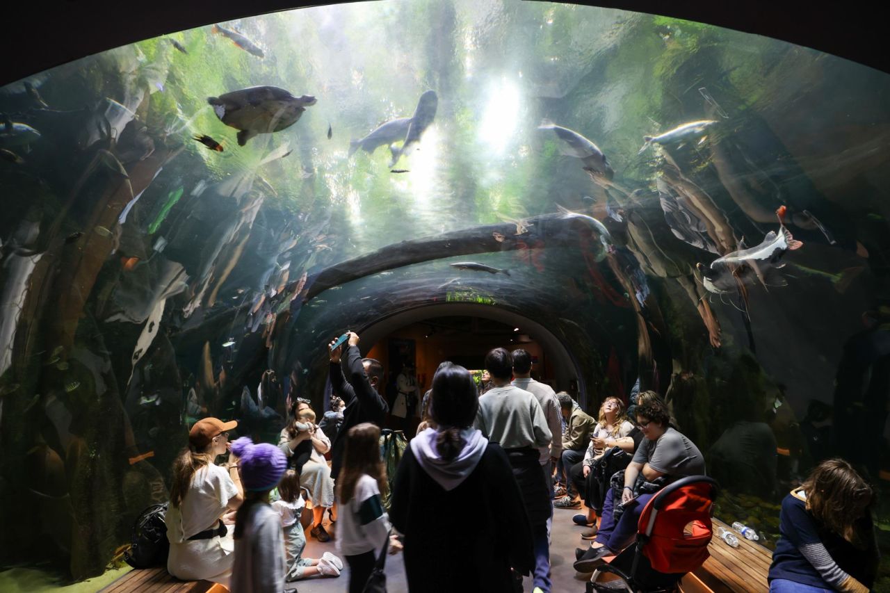 People visit the aquarium at the California Academy of Sciences in San Francisco's Golden Gate Park on Tuesday, November 22.