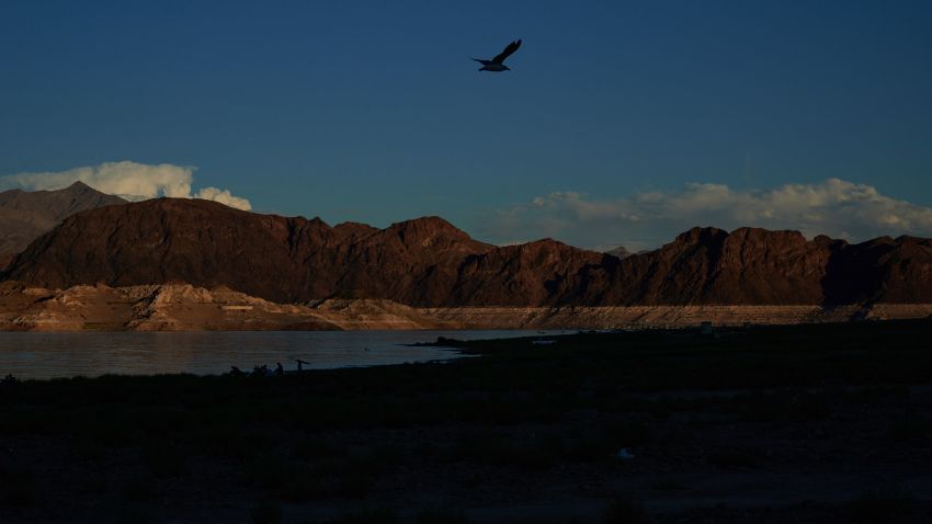A bird flys above the beach at Lake Mead in Boulder City, Nevada on Sept. 11, 2022.