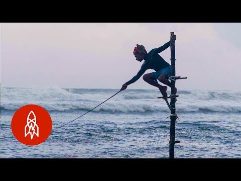 Video The Last of the Stilt Fishers in Sri Lanka