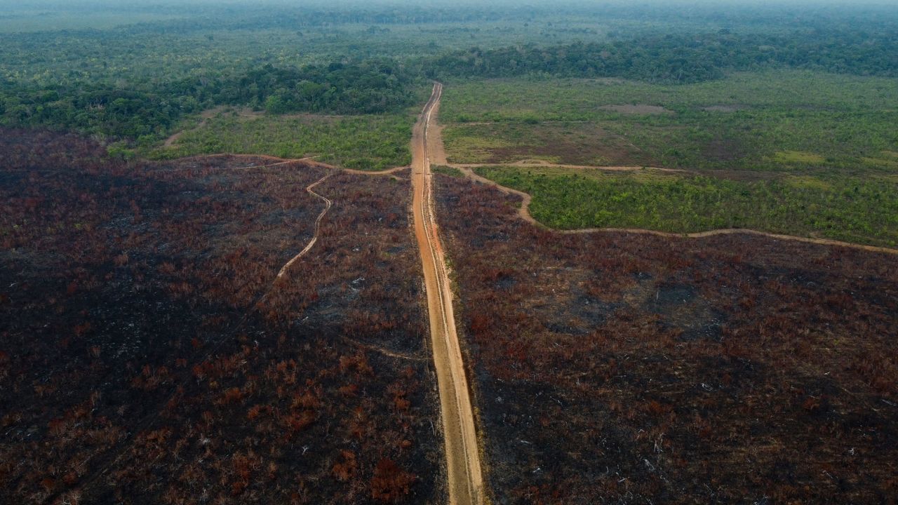 A deforested area of the Amazon rainforest near the city of Humaita, Amazonas state, Brazil, on September 15, 2022. 