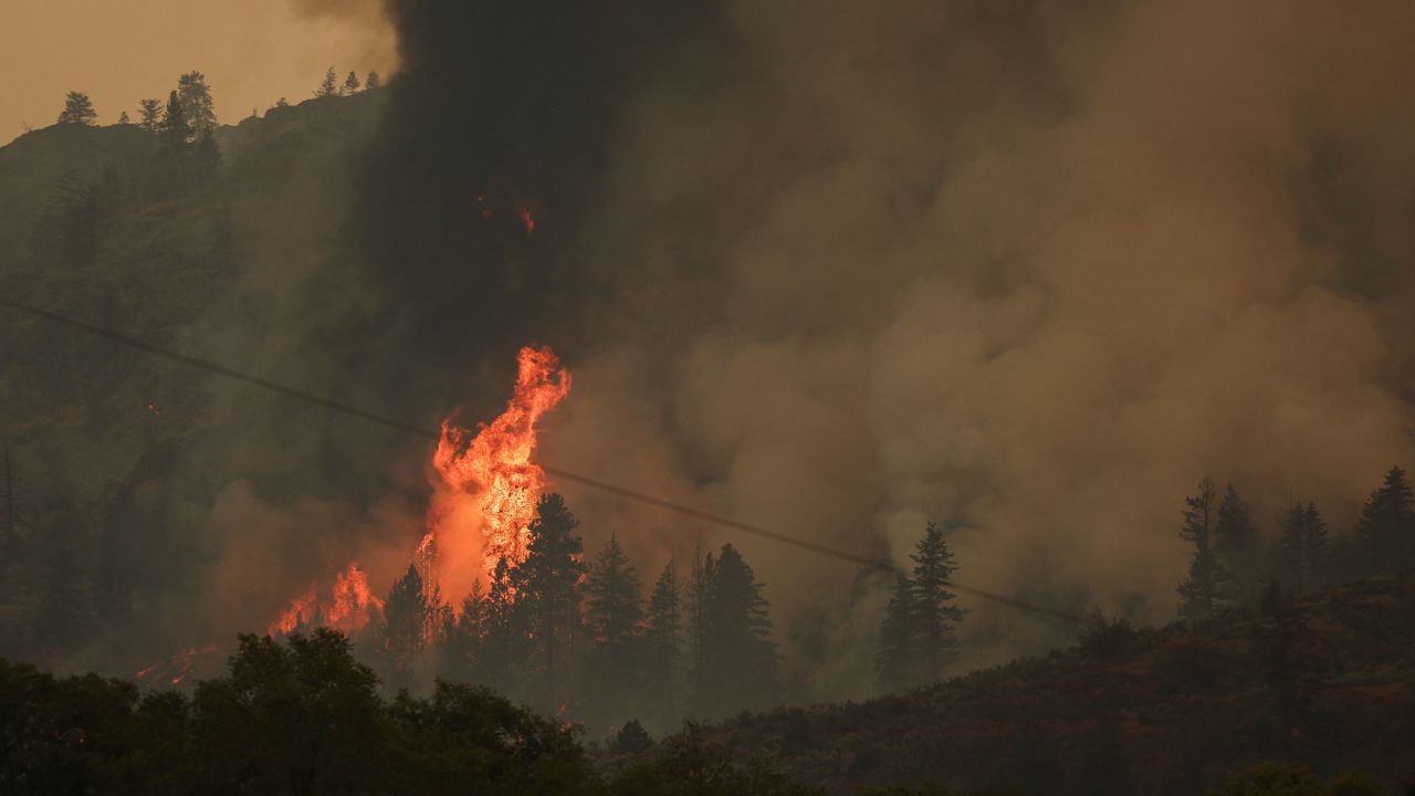 Trees are seen ablaze Sunday after the Eagle Bluff fire crossed the Canada-US border.