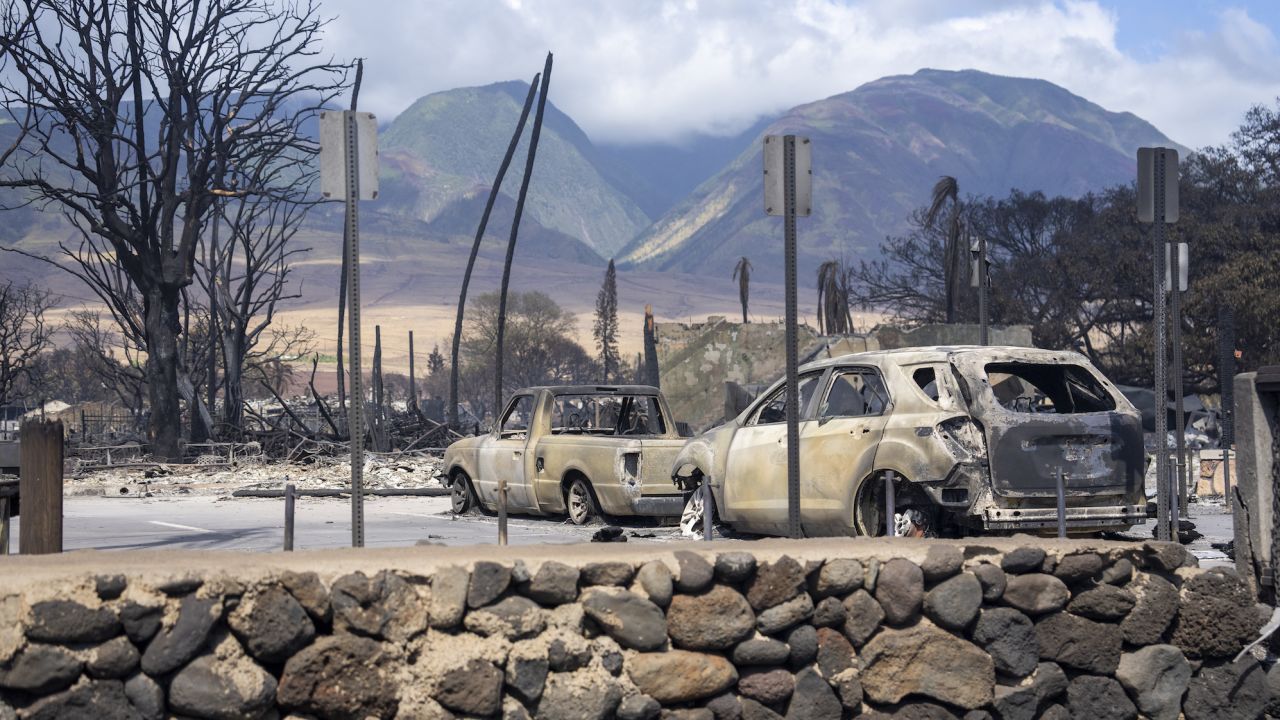 Burnt-out cars in Lahaina. Residents said they heard of people abandoning their cars to run into the ocean as the fires hit.