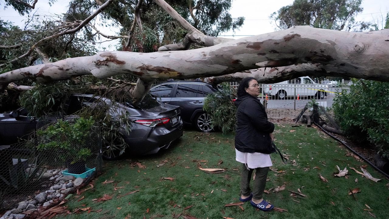Maura Taura surveys the damaged cause by a downed tree outside her home.